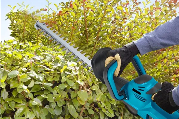 ZenShear-Cordless-Hedge-Trimmer-3 imagedautiencss